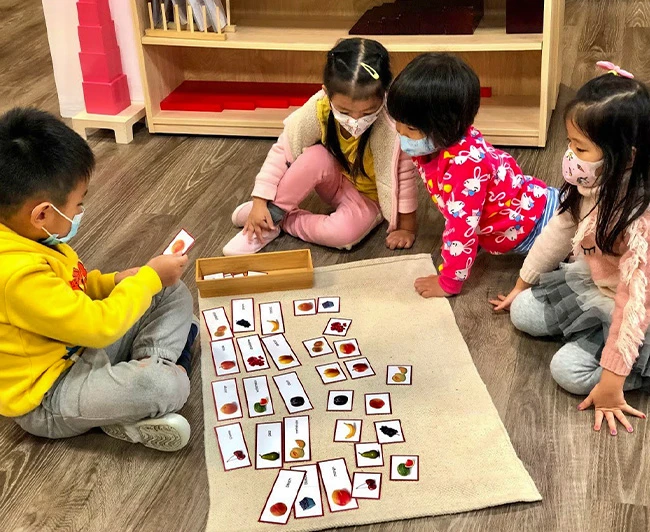 Sorting Montessori