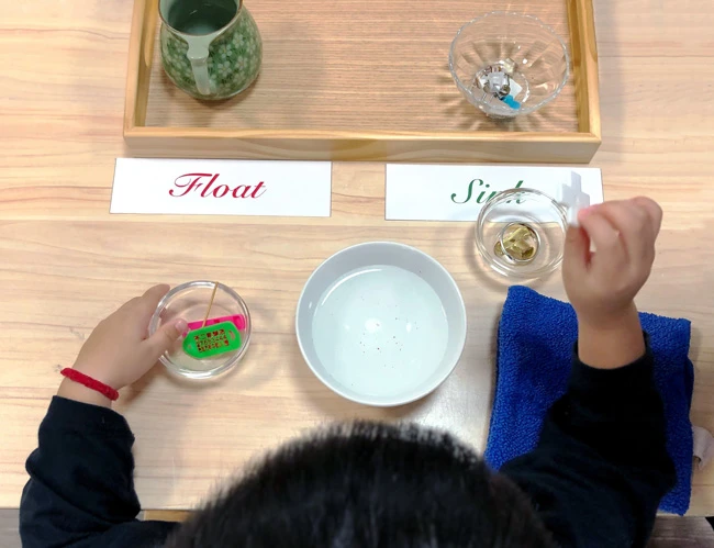 Montessori Float or Sink