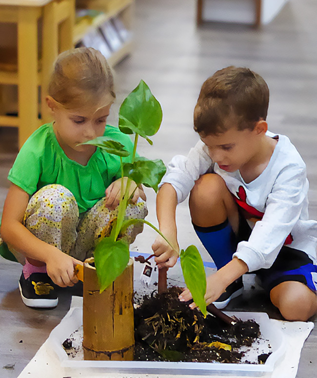 Planting